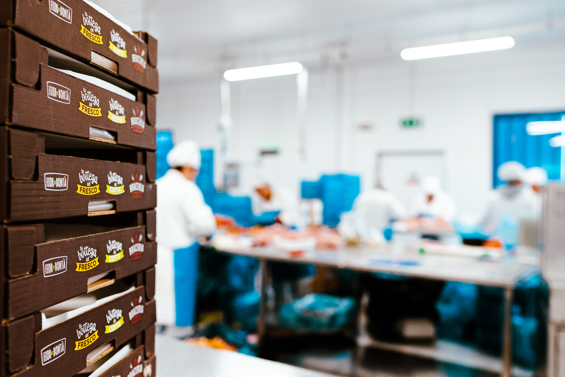 Laboratorio Frimar - lavorazione artigianale